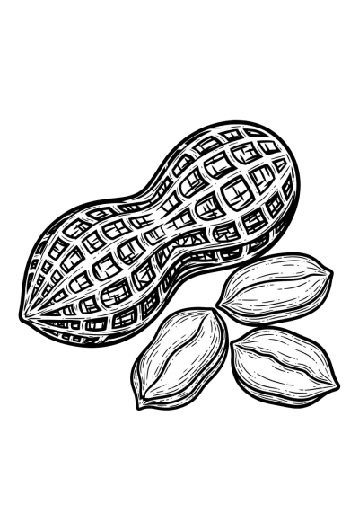 Imagen PNG para descargar